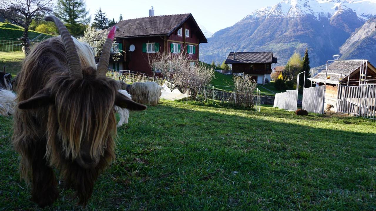 Unterbäch Cash Cow旅馆 外观 照片