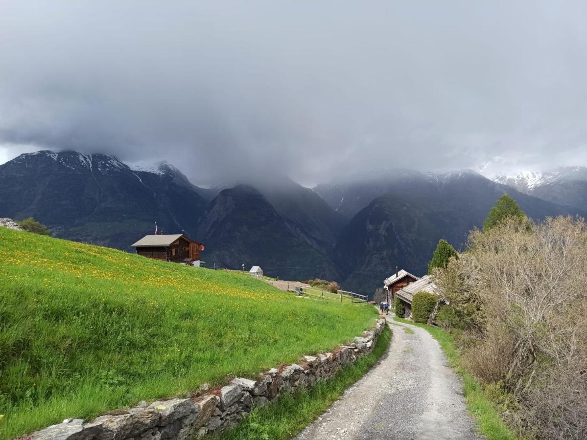 Unterbäch Cash Cow旅馆 外观 照片